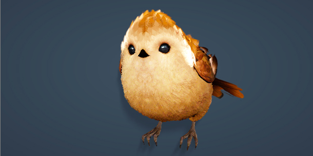 chick pet