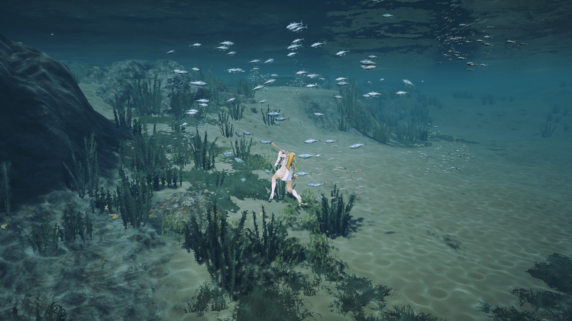 Black Desert Sea Map