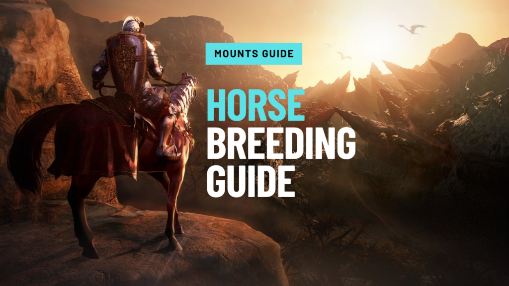 Horse Breeding Guide