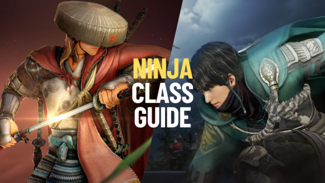 ninja ninja guide