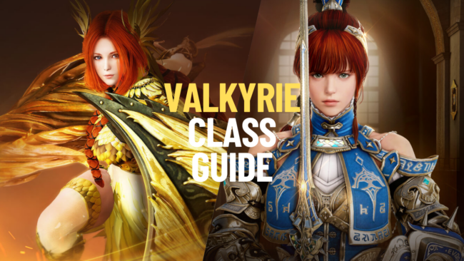 valkyrie valkyrie class guide