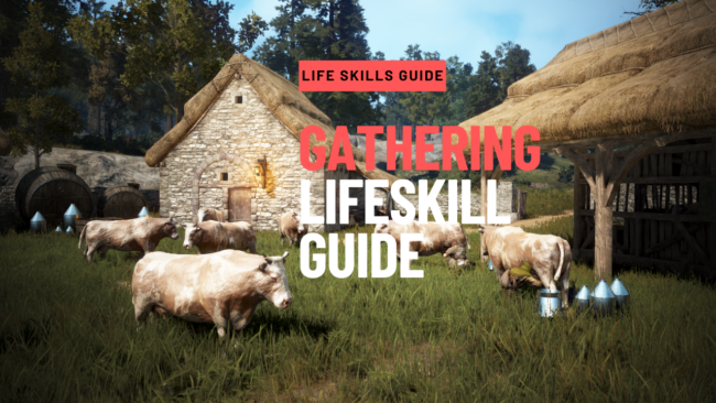 Gathering