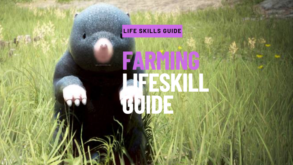 Farming Lifeskill Guide