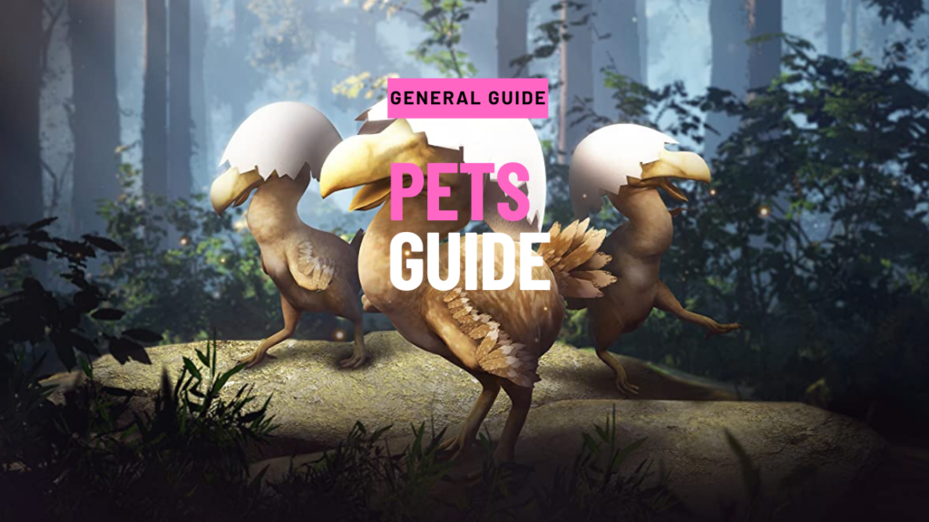 Pets guide