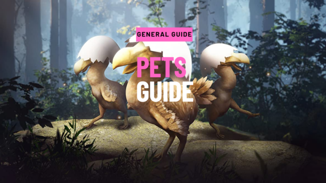 pets guide