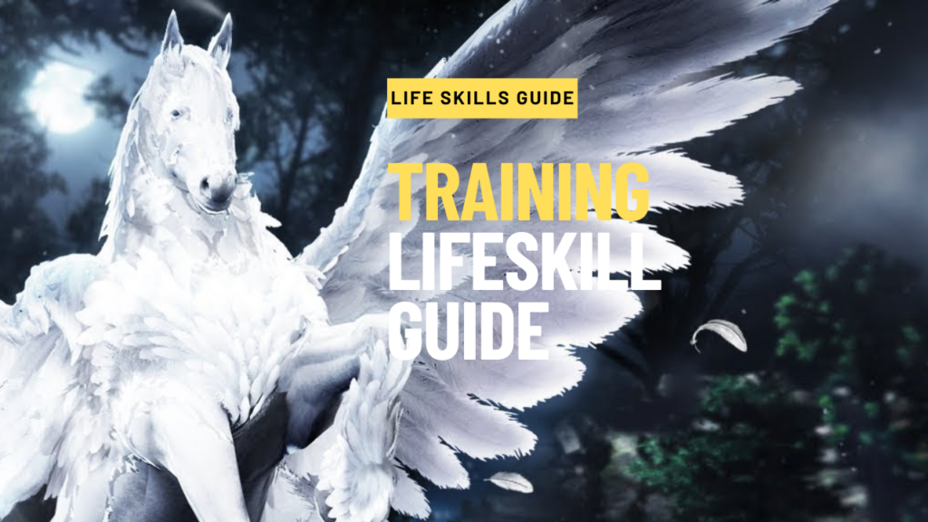Horse Training Lifeskill Guide