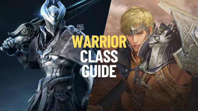 warrior warrior class guide
