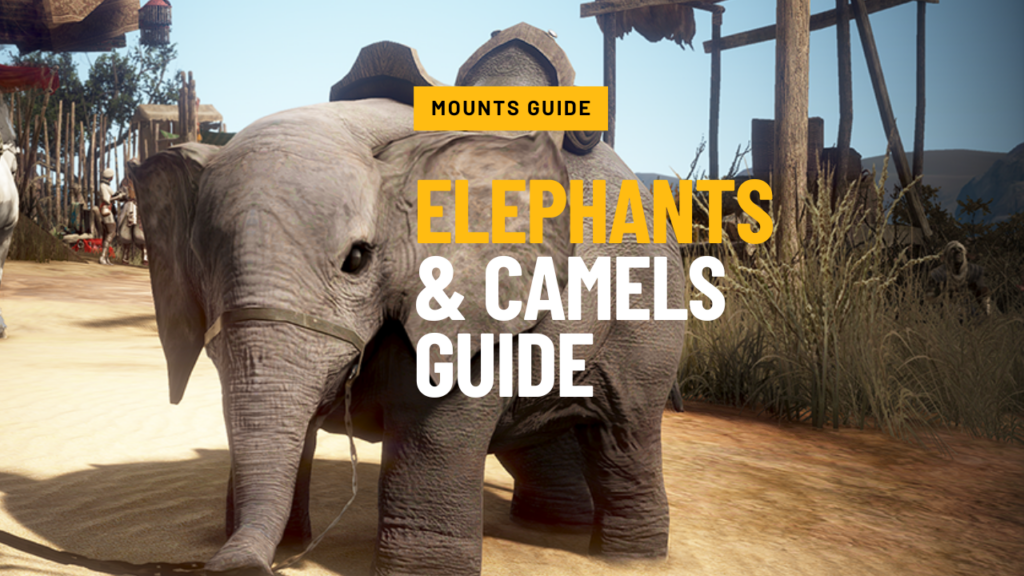 Miniature Elephants and Camels Guide