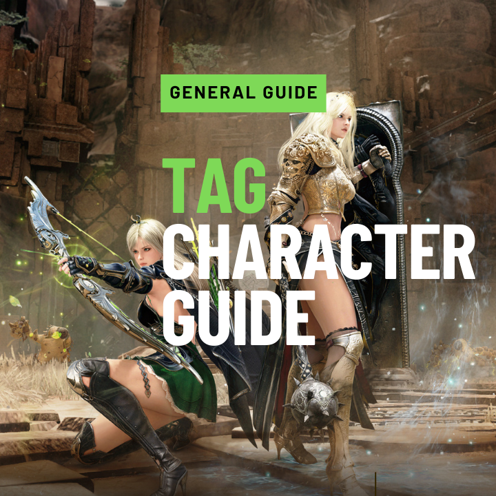 Tag Character guide