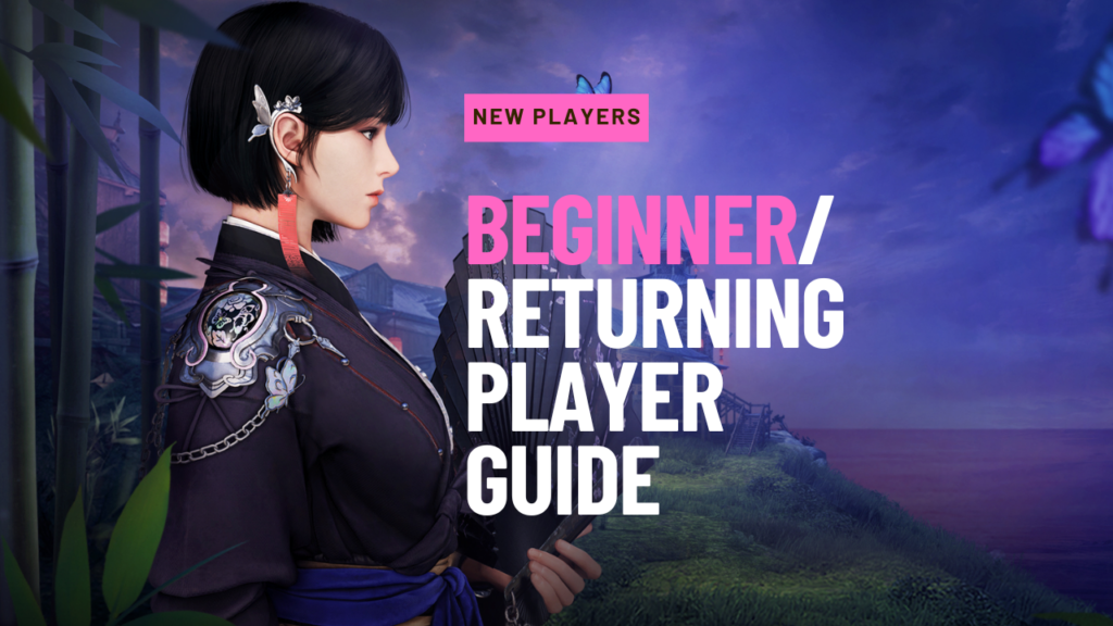 Beginner Guide