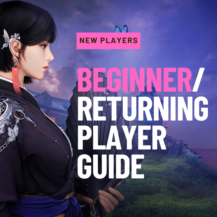 Beginner Guide