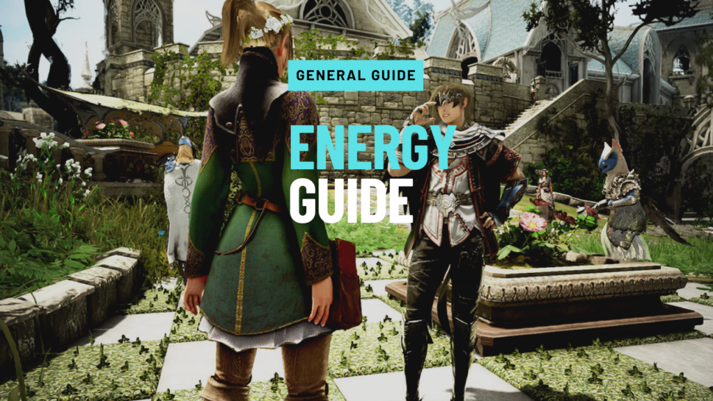 Energy Guide