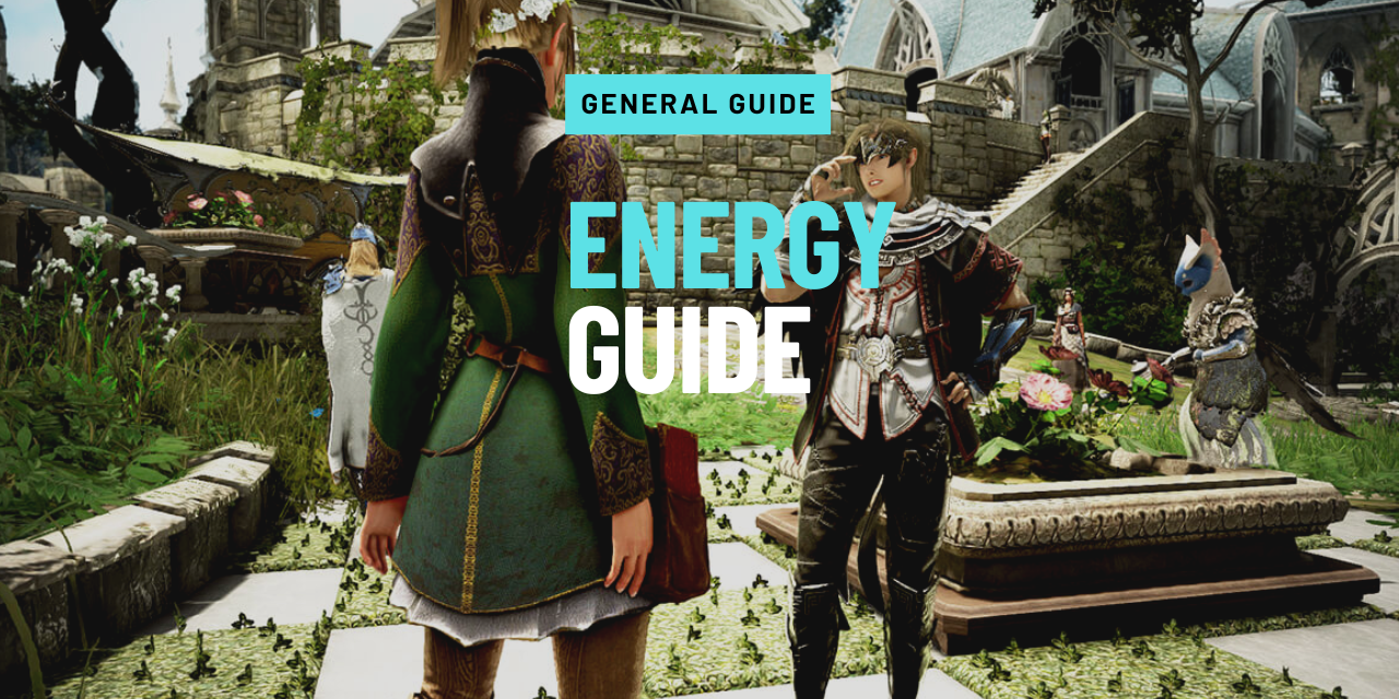 energy guide