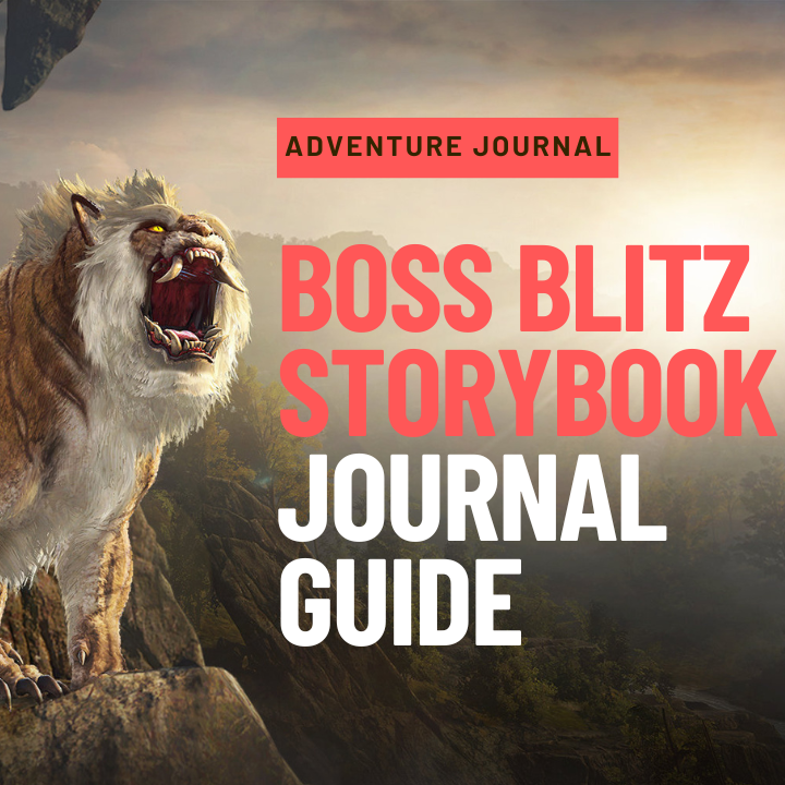 boss blitz storybook journal