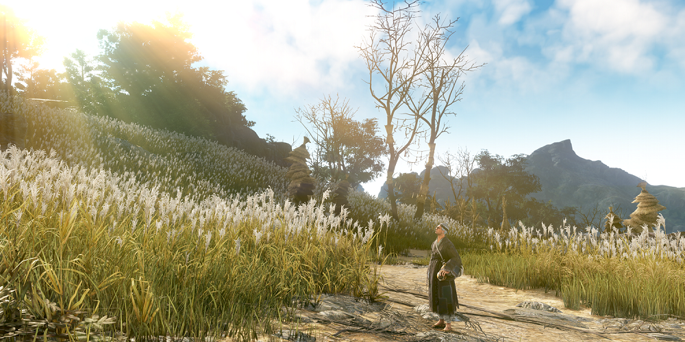 land of the morning light screenshot