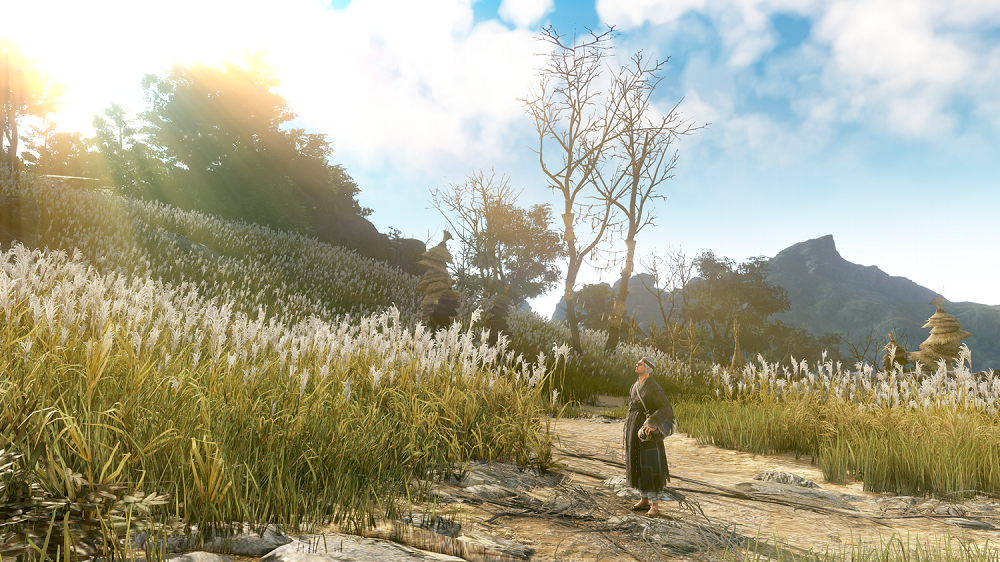 land of the morning light screenshot