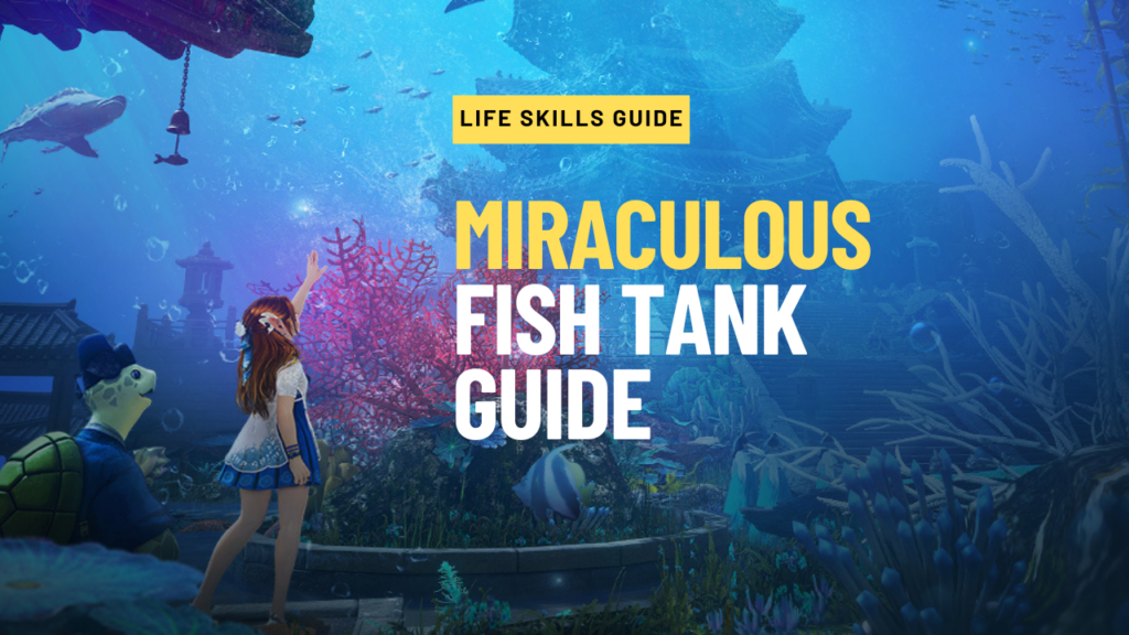 Miraculous Fish Tank Guide