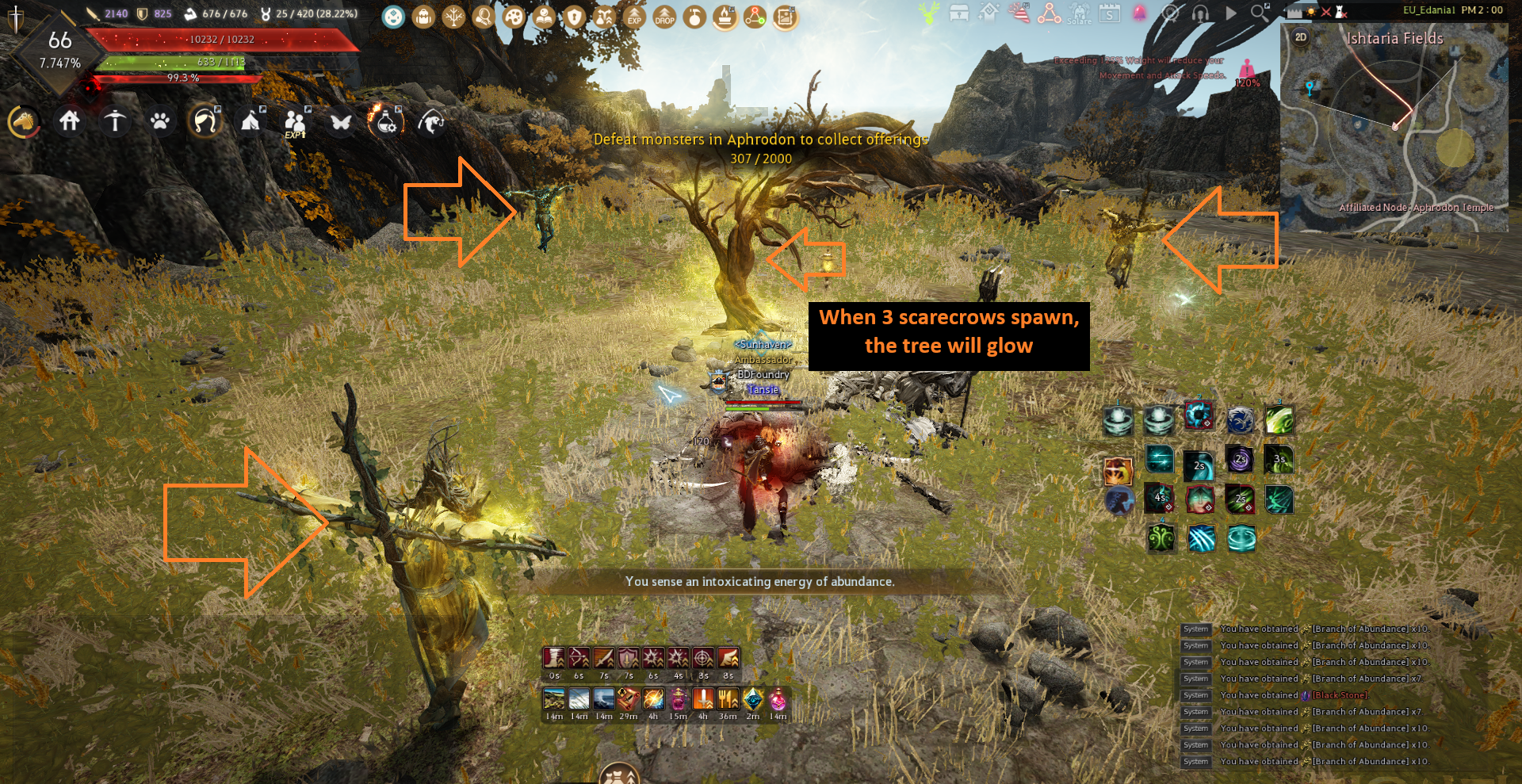 Edania: Inner Monster Zones Guide